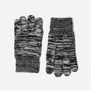 NEW Everlane Chunky Wool Gloves Medium